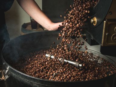 Basic steps in the coffee roasting process